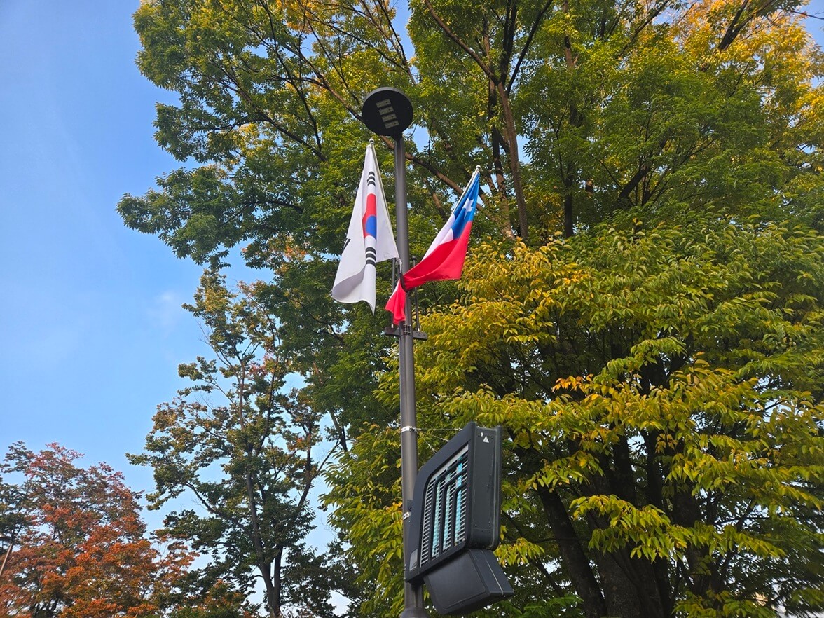 APEC 칠레대사관 의전 차량